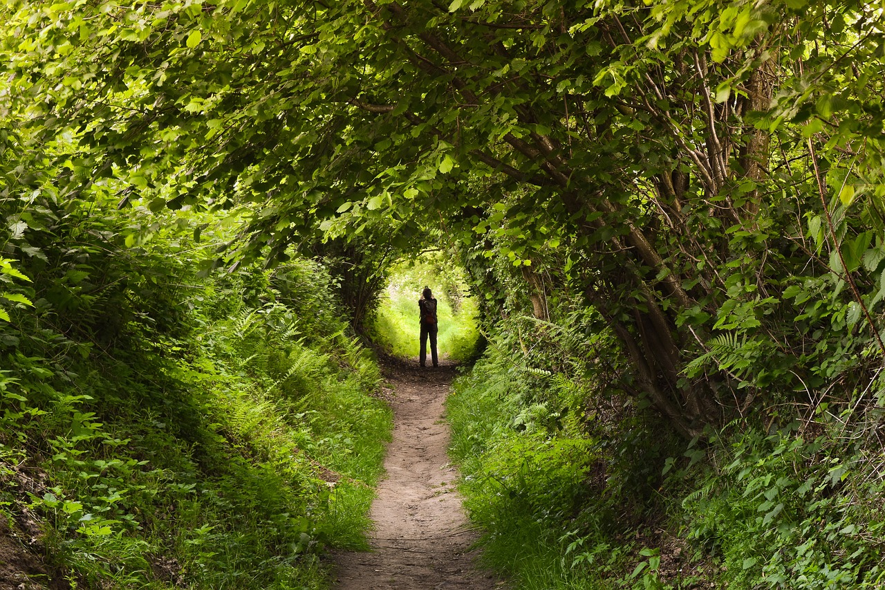 a person that is standing in the middle of a path, by Julian Allen, shutterstock, lush and green, shelter, reading, hollow