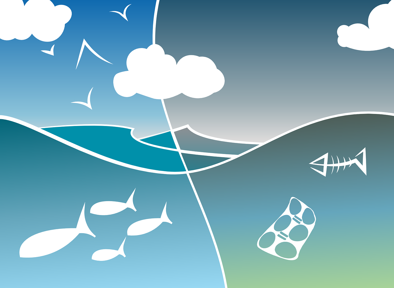 a group of fish swimming in a body of water, an illustration of, conceptual art, climate change, diagram, clouds and wings and waves, various scenarios