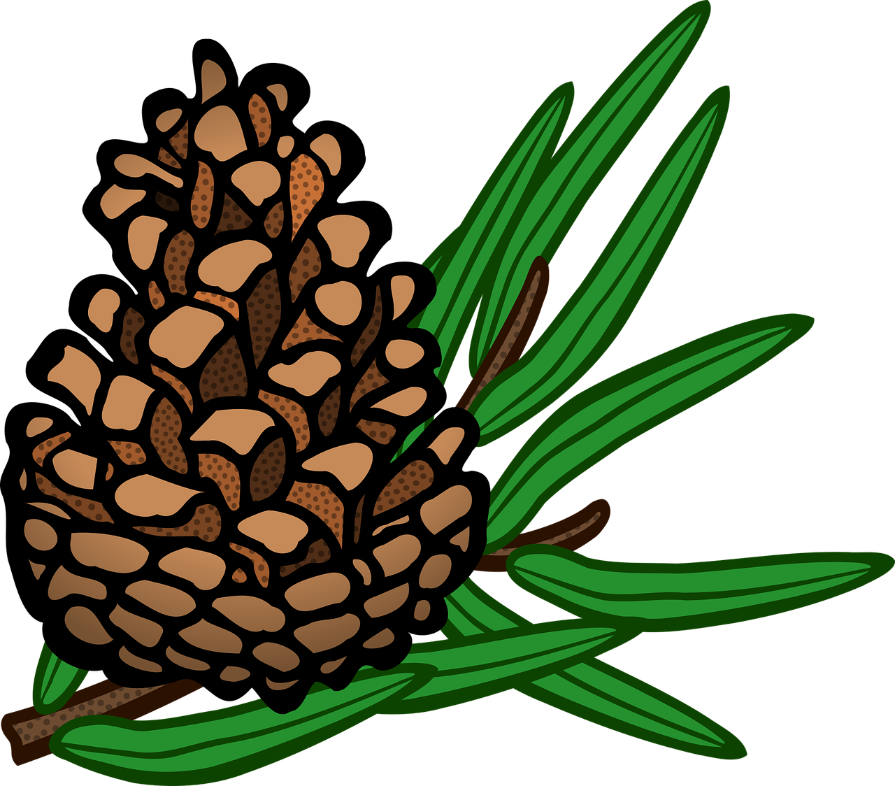 a pine cone on a branch with leaves, a digital rendering, inspired by Masamitsu Ōta, black backround. inkscape, header, clipart, no gradients