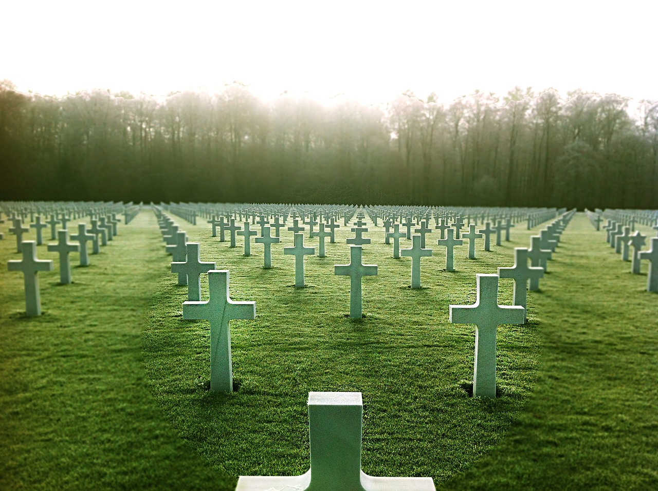 a field of crosses with trees in the background, a photo, by Kurt Roesch, pexels, d - day, pale green backlit glow, skeletons on the ground, us