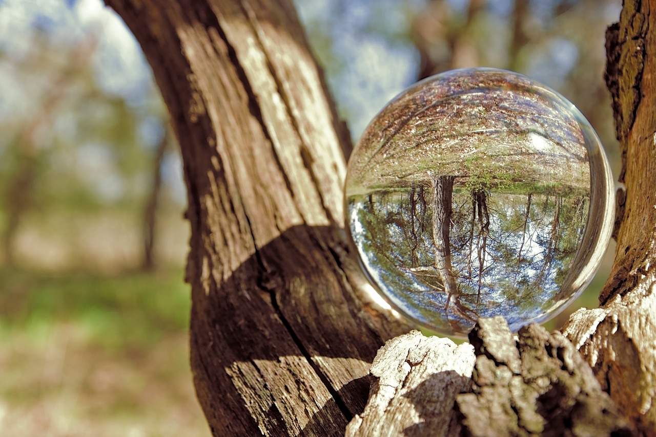 a glass ball sitting on top of a tree trunk, a picture, photorealism, crystal-clear-focus, marble and wood and glass, curved perspective, outdoor photo