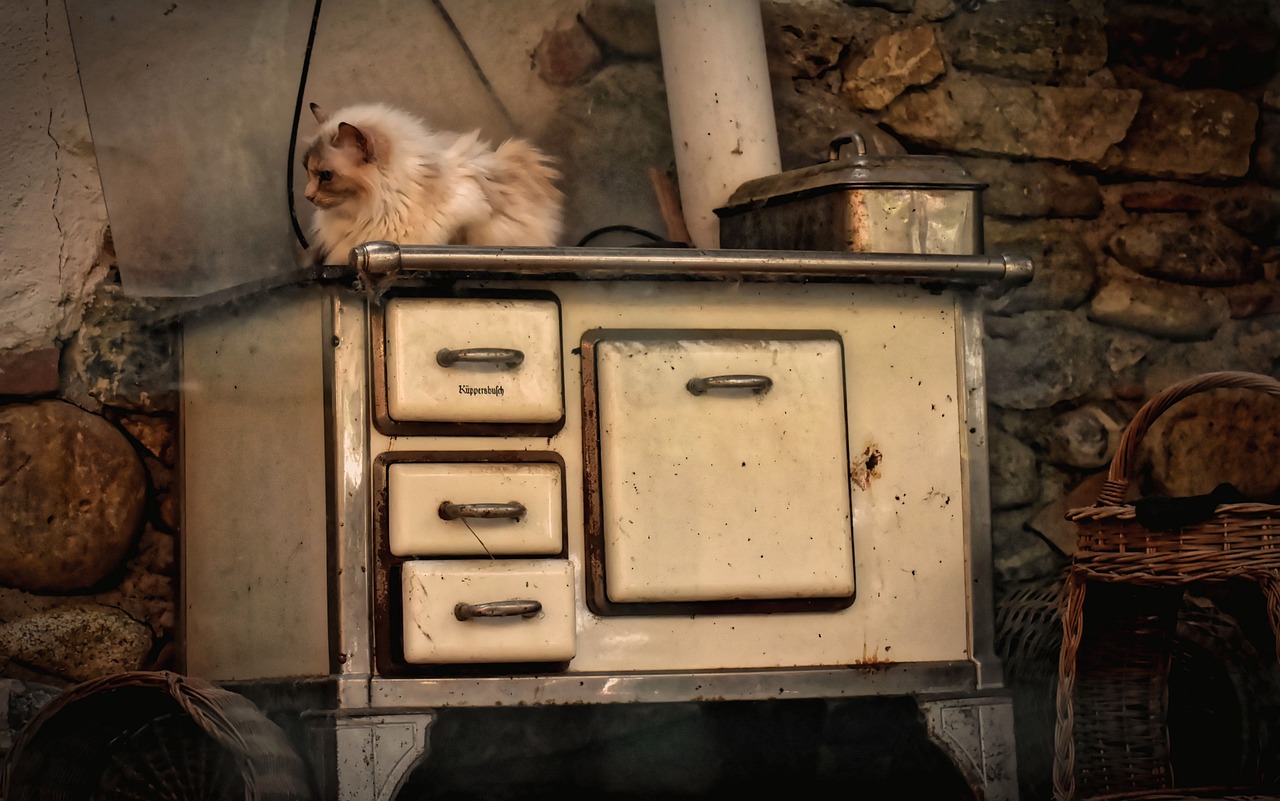 a cat sitting on top of an old stove, inspired by Tom Chambers, renaissance, tonemapped, ivory and copper, albino, inside old cabin