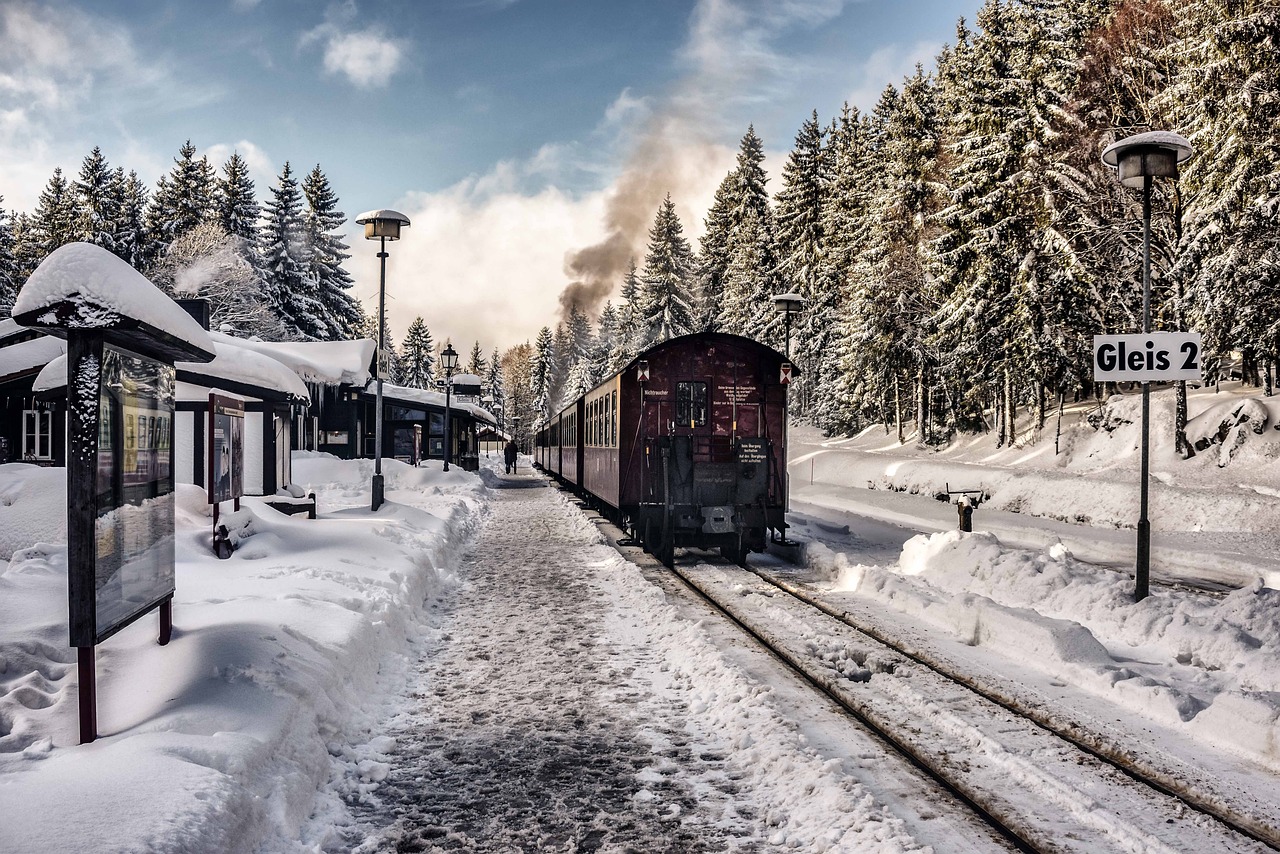 a train that is sitting on the tracks in the snow, a portrait, by Matej Sternen, shutterstock, black forest, historical setting, 💋 💄 👠 👗, panorama