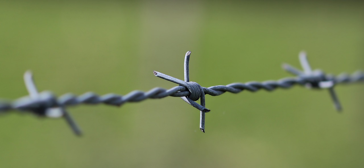 a close up of a barbed wire fence, by Mirko Rački, istockphoto, string theory, moist, ribbon