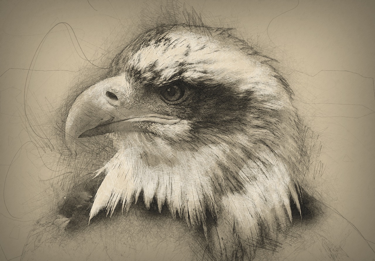 a black and white drawing of an eagle, a portrait, shutterstock, fine art, sepia toned, scribbled, closeup photo, retro effect