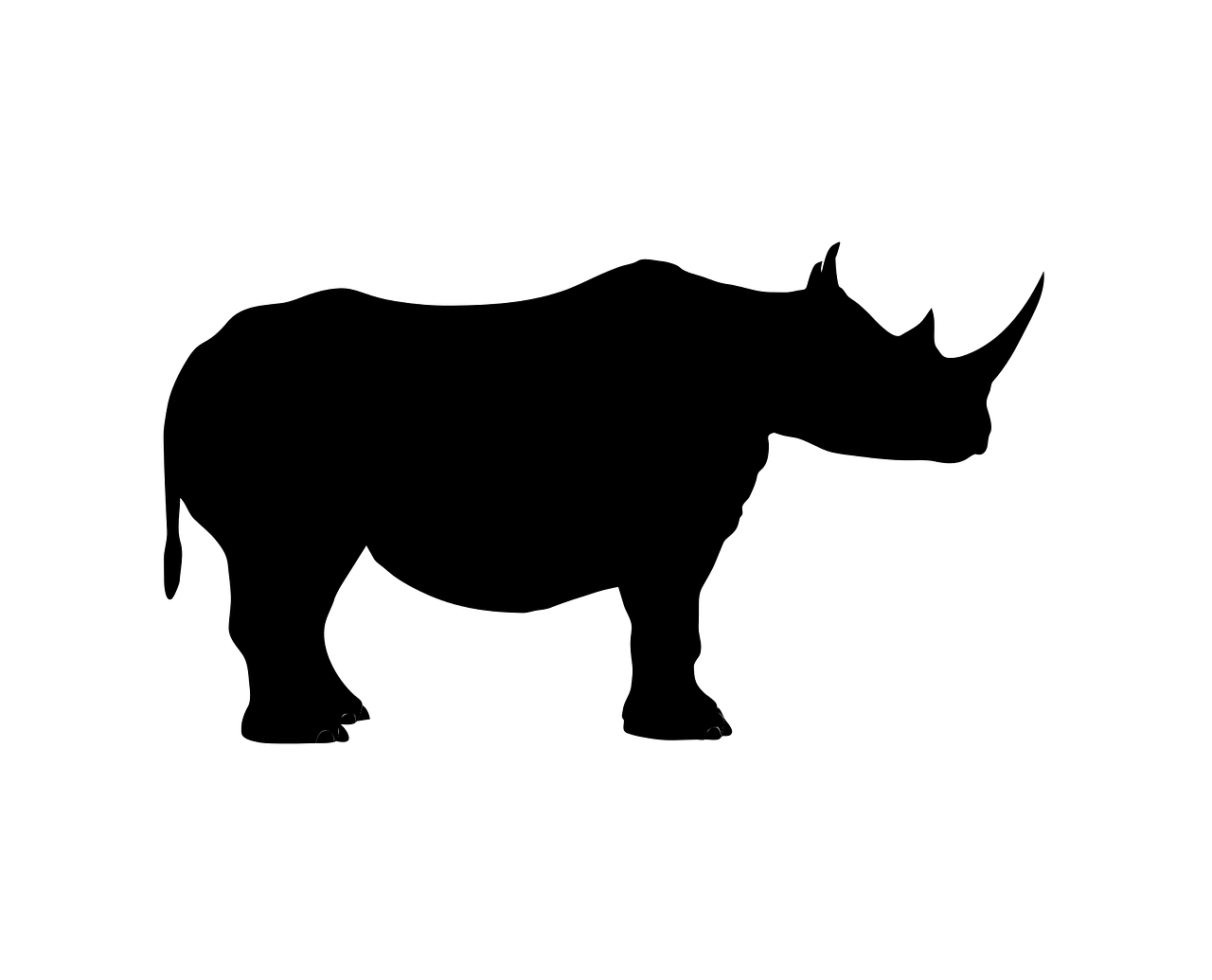 a silhouette of a rhino on a white background, an illustration of, by Jan Zrzavý, hurufiyya, large horned tail, heavily exaggerated proportions, illustration”, zido
