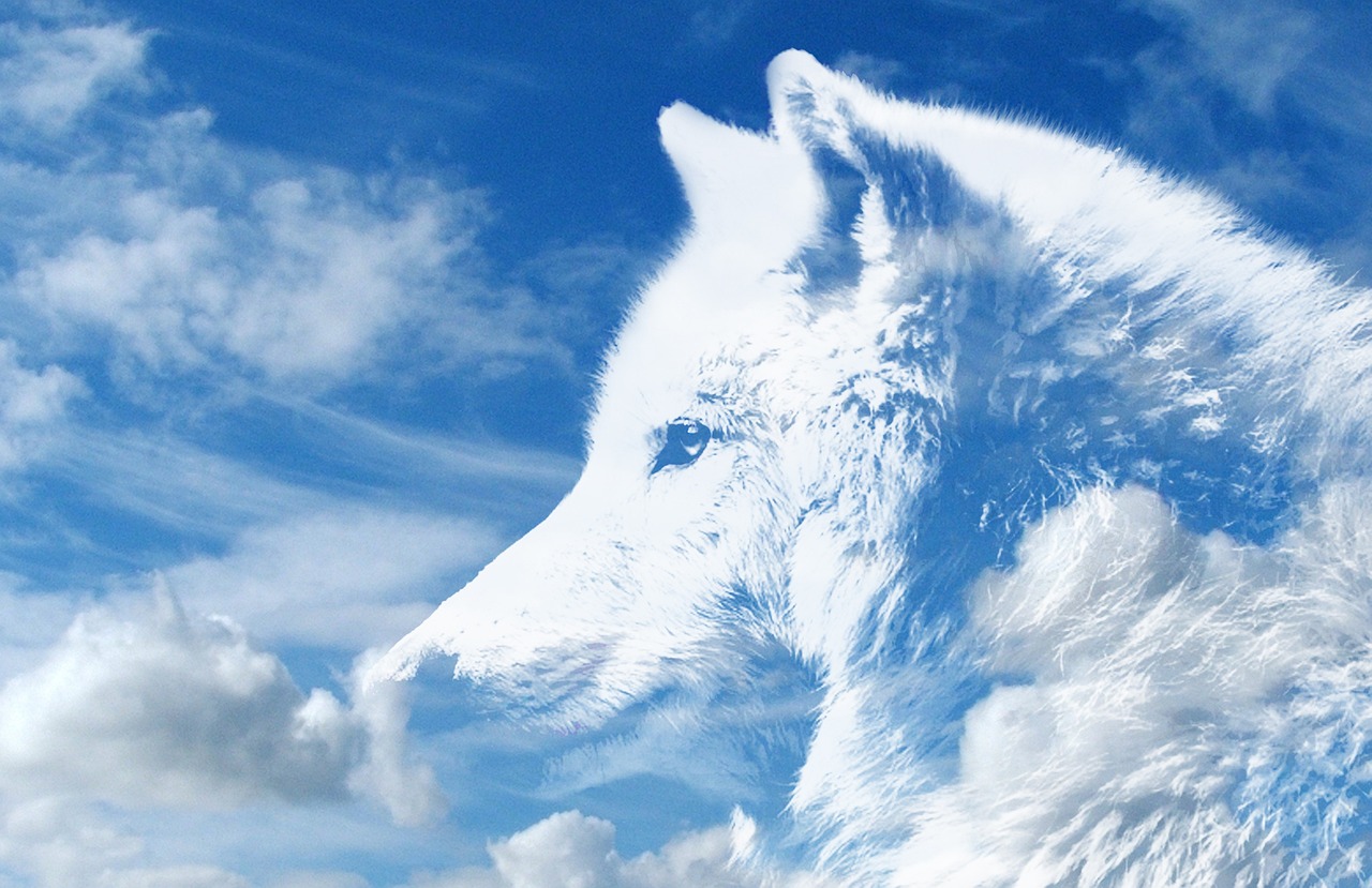a close up of a white dog with clouds in the background, a picture, inspired by Wolf Huber, god of winter, computer wallpaper, blue wolf, in profile