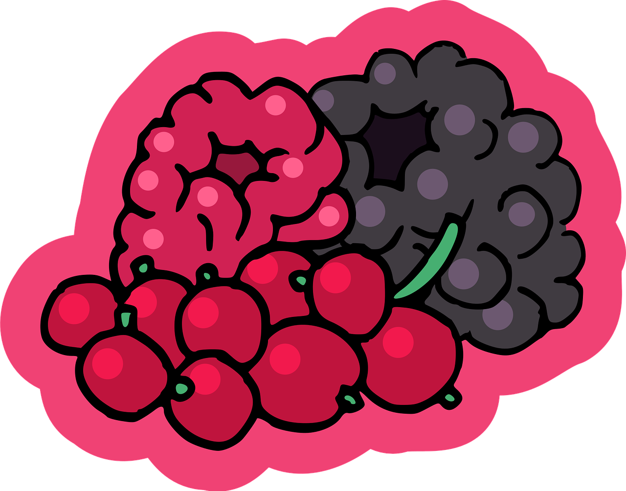 a pile of blackberries and raspberries on a pink background, by Tom La Padula, pixabay, pop art, adam and eve inside the brain, black and red scheme, featuring brains, yume nikki