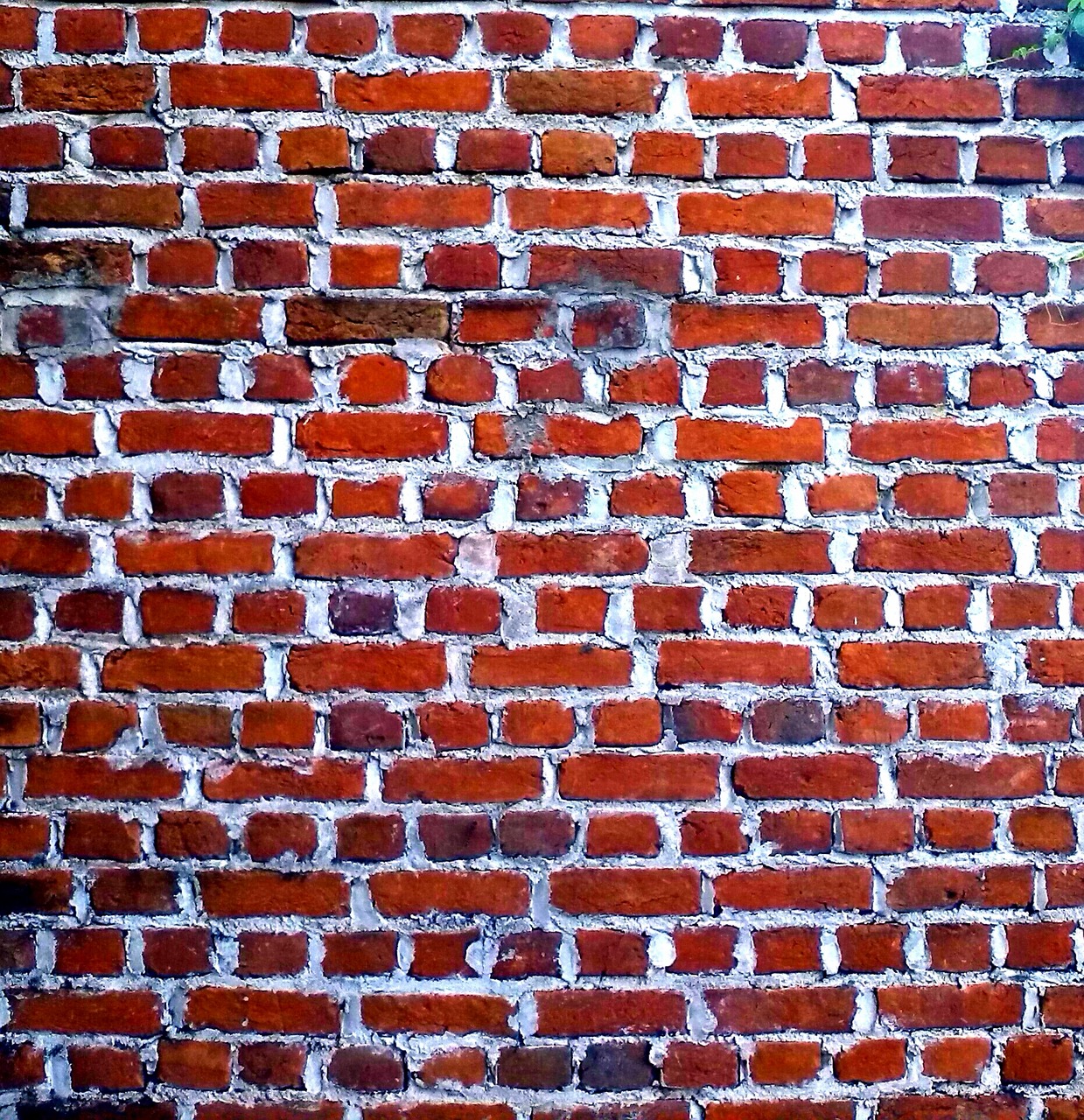 a fire hydrant in front of a brick wall, by Yi Jaegwan, minimalism, tiling texture, red bricks, a gigantic wall, 1647