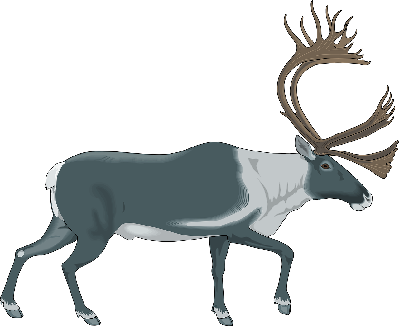 a reindeer with antlers standing in front of a black background, an illustration of, side view of a gaunt, wikihow illustration, large creatures in distance, alaska