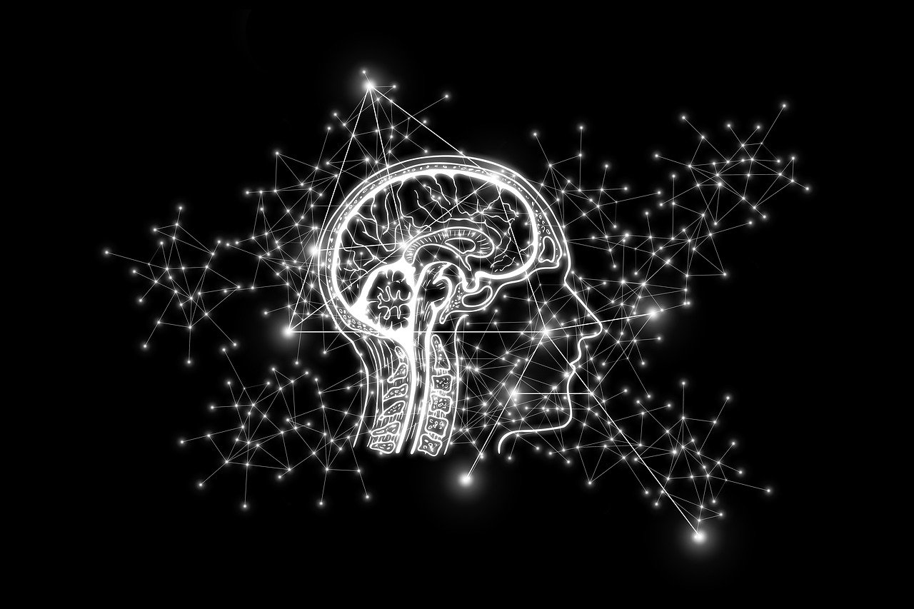 a black and white image of a human brain, digital art, trending on pixabay, glowing thing wires, brain stars, definition, immersed within a network