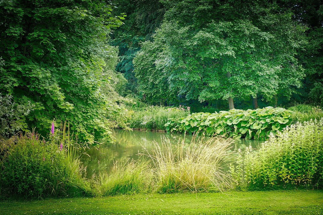 a bench sitting in the middle of a lush green park, a photo, inspired by Henri Biva, bullrushes, detmold, photo taken with sony a7r, garden pond scene