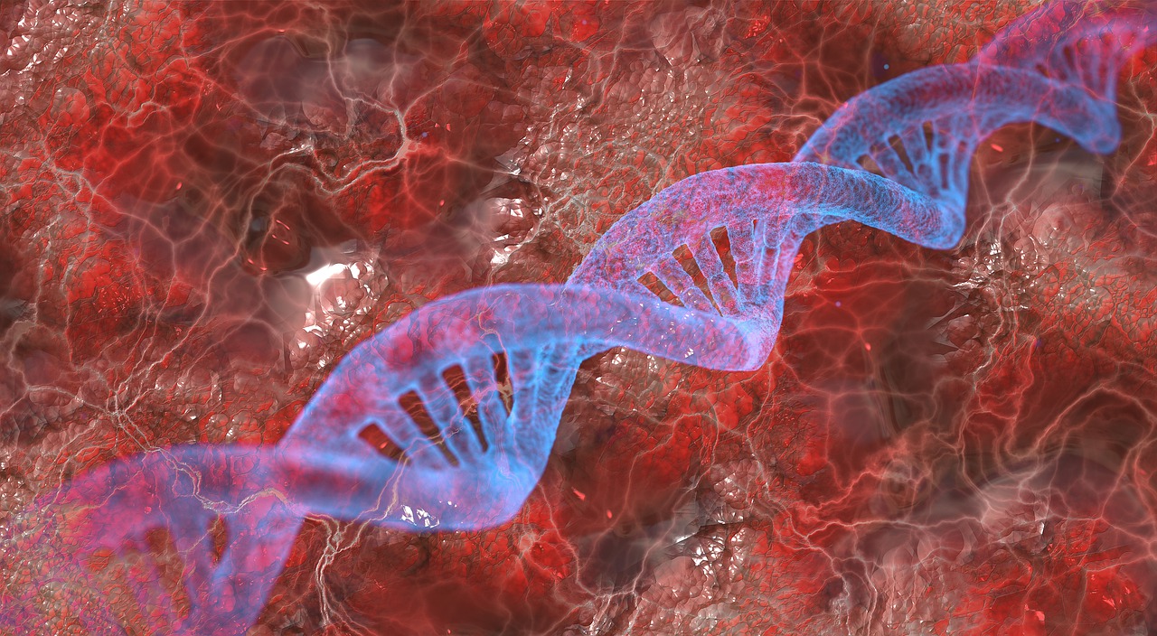 a digital image of a double - stranded strand of dna, by Kurt Roesch, shutterstock, digital art, red glowing veins, highly detailed textured 8 k, 3 d cg, blue and red color scheme