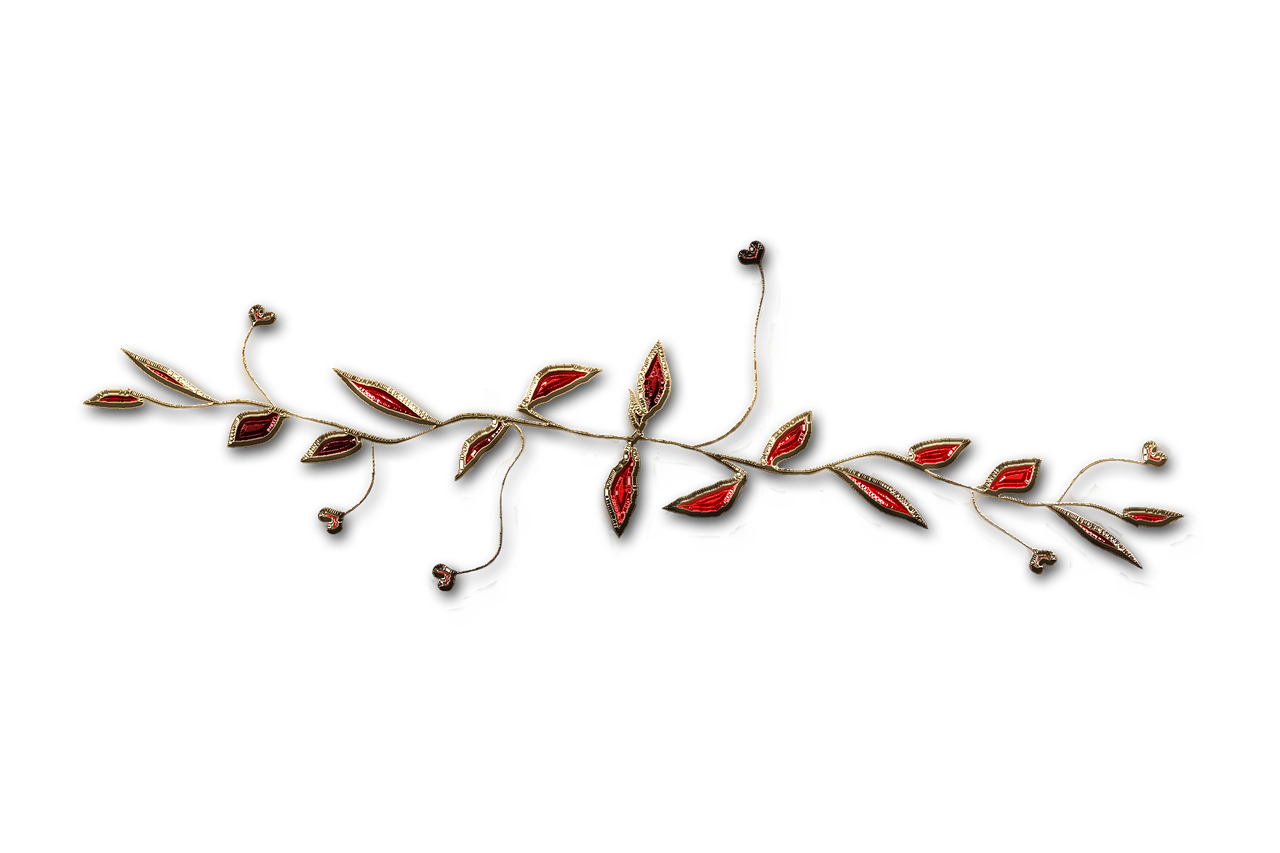 a close up of a flower on a black background, a digital rendering, by artist, trending on polycount, art nouveau, red jewelry, leaves on branches, wide shot photo