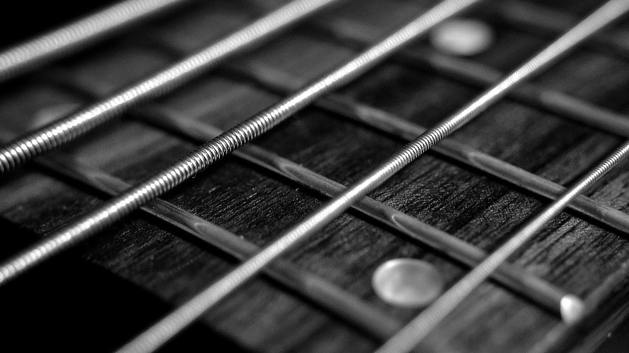 a close up of the frets of a guitar, by Eugeniusz Zak, pexels, monochrome hdr, hq 4k phone wallpaper, thin wires, wallpaper - 1 0 2 4