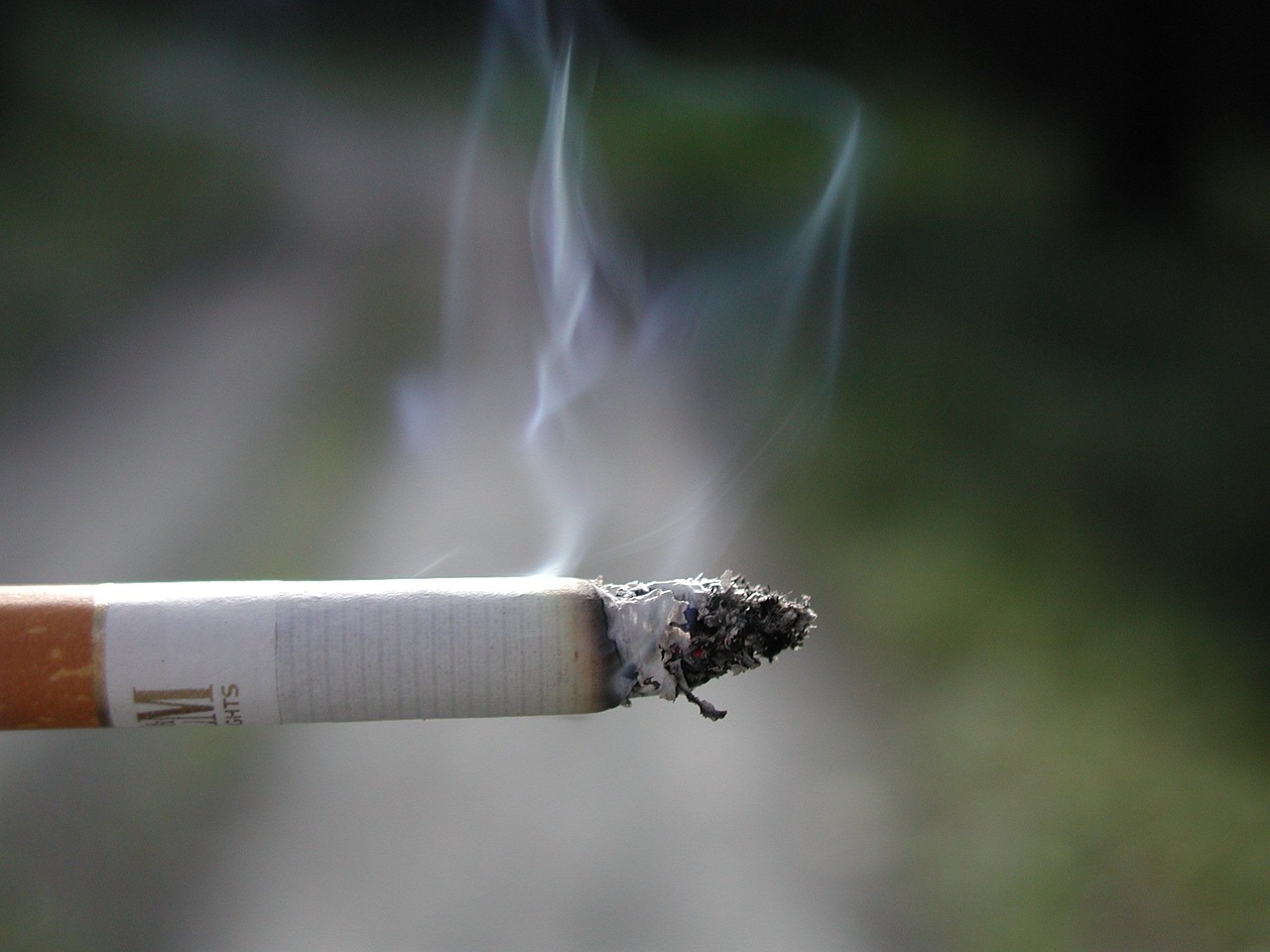 a cigarette with smoke coming out of it, shutterstock, taken with a pentax1000, 8 0 mm photo, stock photo