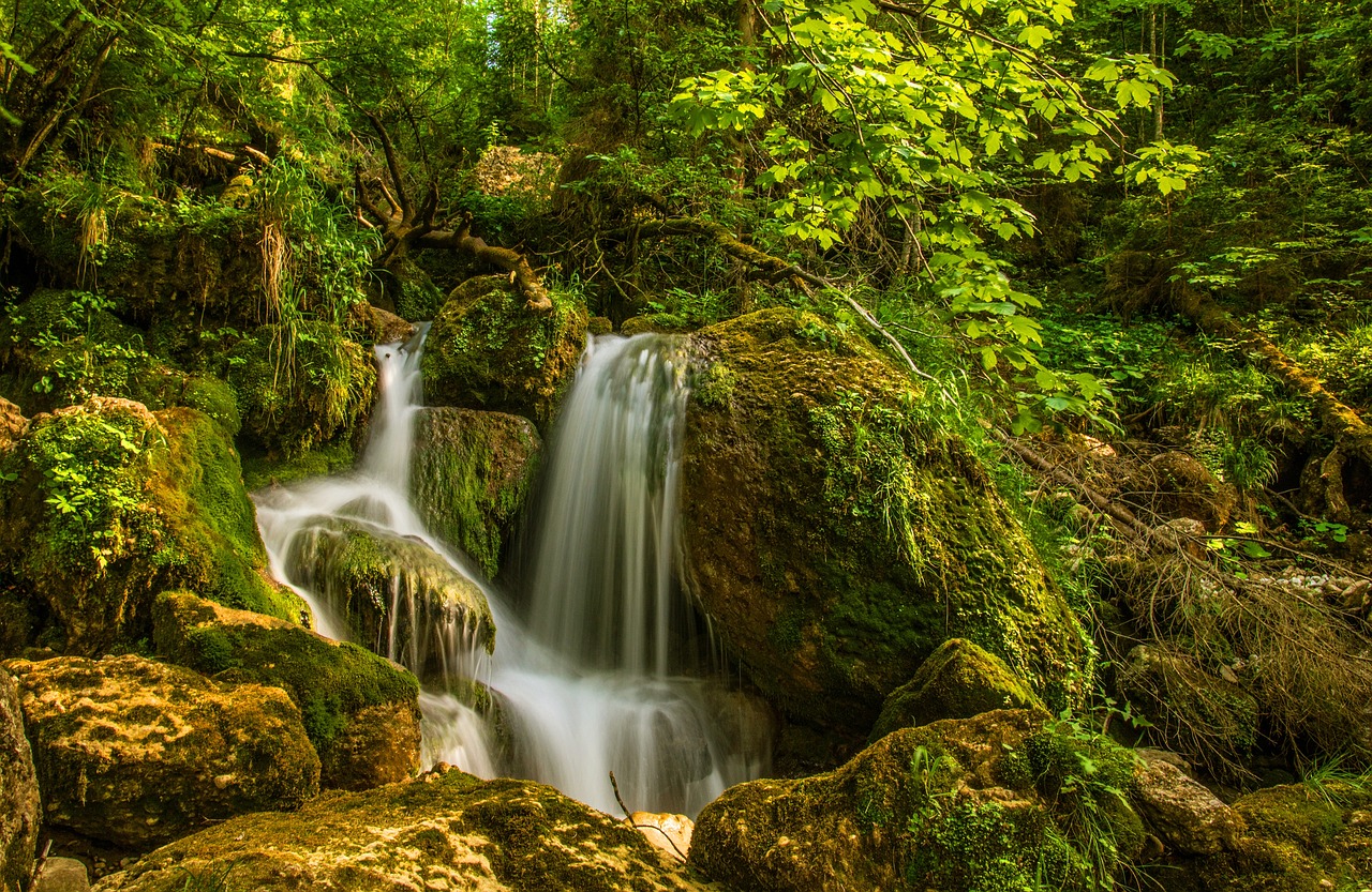 a small waterfall flowing through a lush green forest, a picture, by Karl Walser, shutterstock, slow exposure hdr 8 k, !!natural beauty!!, fotografia, heaven on earth