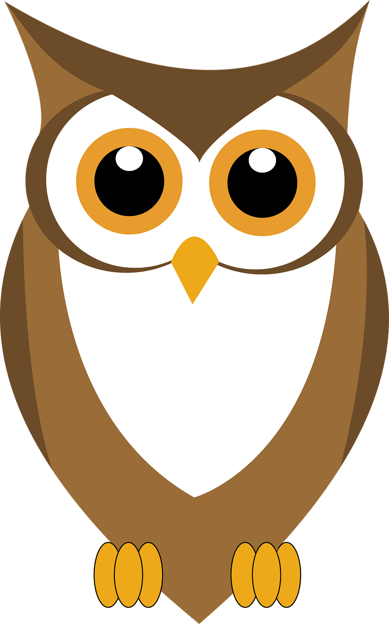 a brown and white owl with big eyes, vector art, pixabay, sōsaku hanga, minimalist, nighttime!!!!!!, bird\'s eye view, skinny