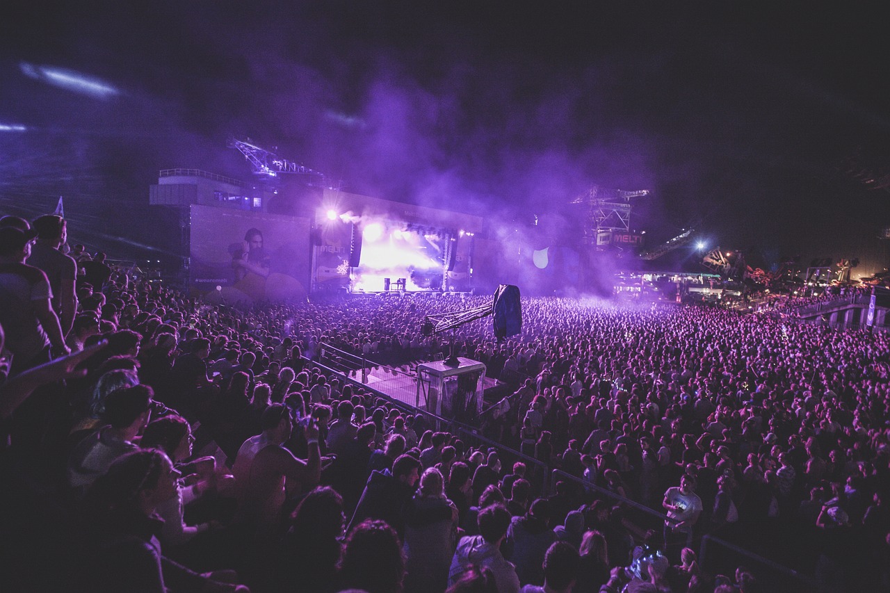 a large crowd of people at a concert, a picture, by Matt Cavotta, moody purple glow light, festival. scenic view at night, syd, crystal castles