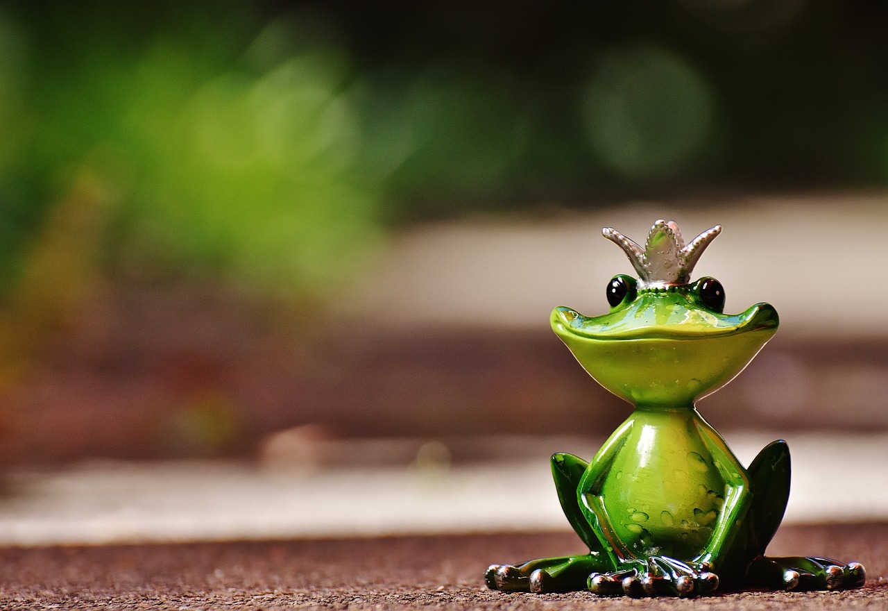 a figurine of a frog with a crown on its head, pixabay contest winner, afternoon sunshine, fairy tale, kermit the frog, sitting down