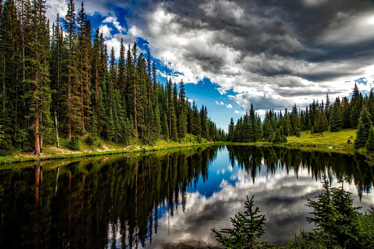 a body of water surrounded by trees under a cloudy sky, inspired by Thomas Moran, pexels contest winner, fine art, colorado, water reflection!!!!!, evergreen forest, summer sunlight