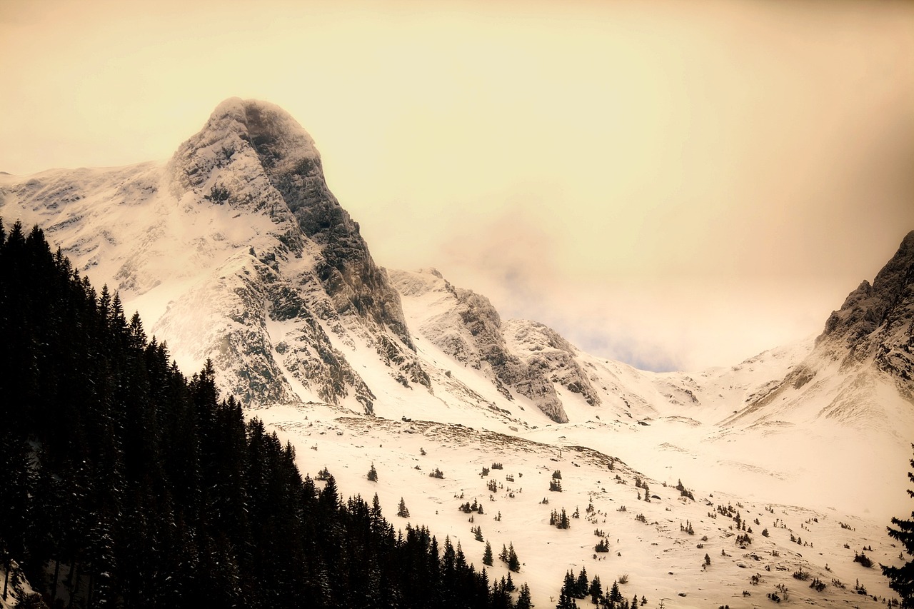 a snow covered mountain with trees in the foreground, a tilt shift photo, romanticism, sepia colors, switzerland, edited, big sharp rock