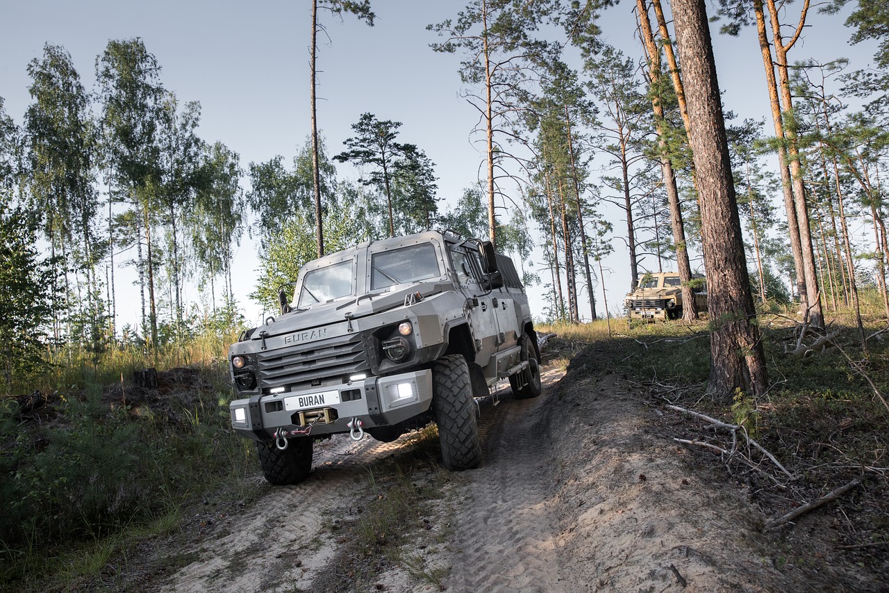a truck driving down a dirt road in the woods, a portrait, by Richard Carline, russian national guard, t - rex, hsv, summer evening