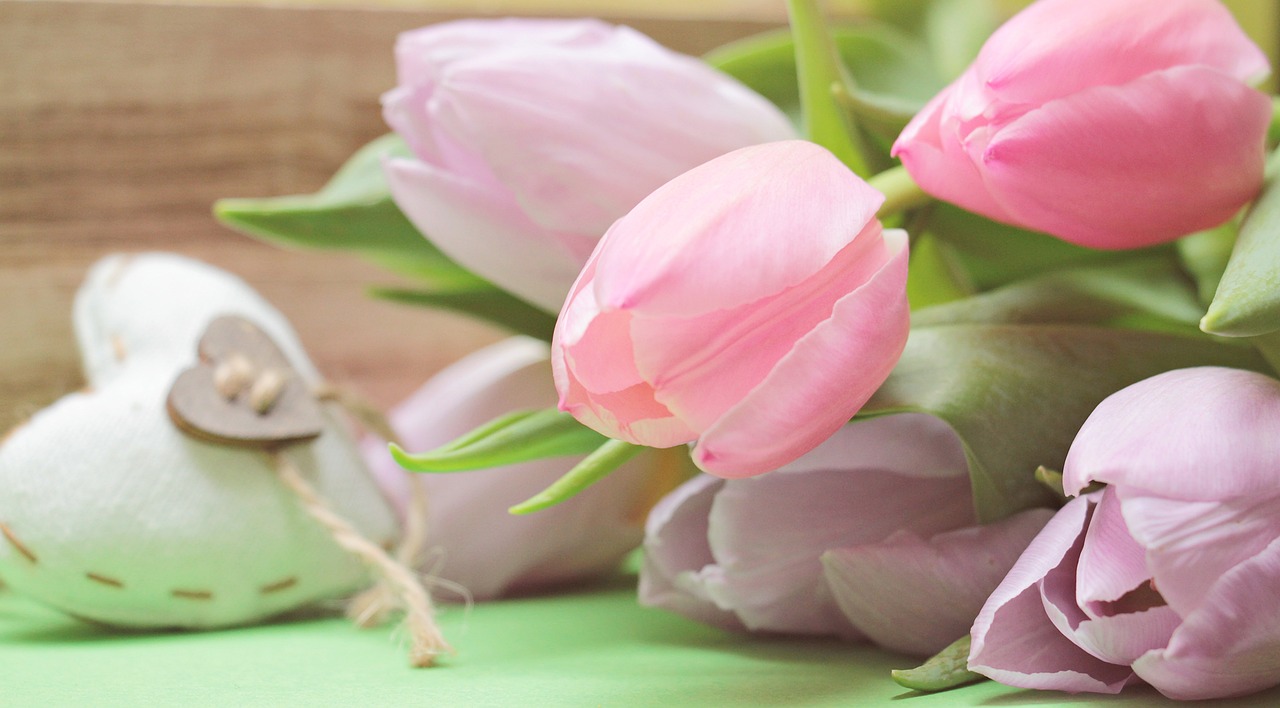 a bunch of pink tulips sitting on top of a table, a picture, beautiful iphone wallpaper, high details!, easter, green and pink