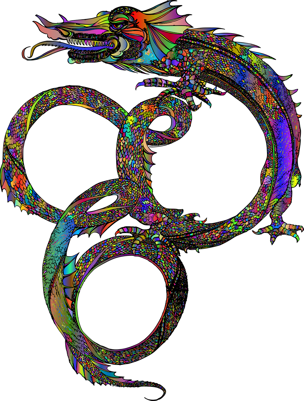 a colorful dragon on a black background, a raytraced image, inspired by Kagaku Murakami, flickr, psychedelic art, ouroboros, phone background, intertwined, shimmering and prismatic