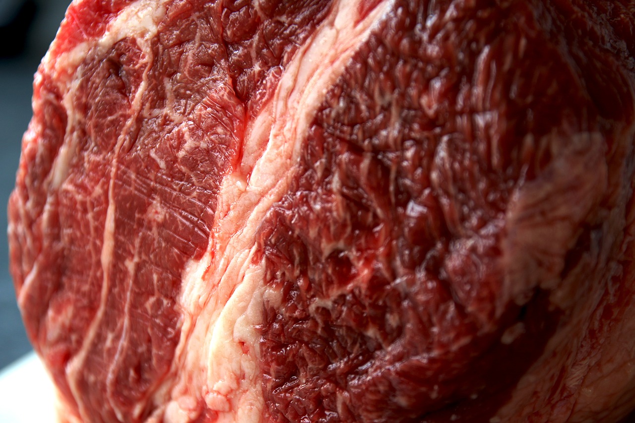 a piece of meat sitting on top of a cutting board, a picture, by Matt Stewart, close up. macro. hyper realistic, meat texture, close-up shot from behind, beef