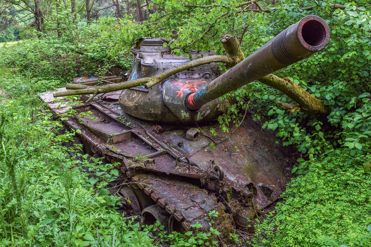 an old tank sitting in the middle of a forest, by Richard Carline, ukraine. photography, jungle clearing, cracks in the armor, lavs flowing through the land