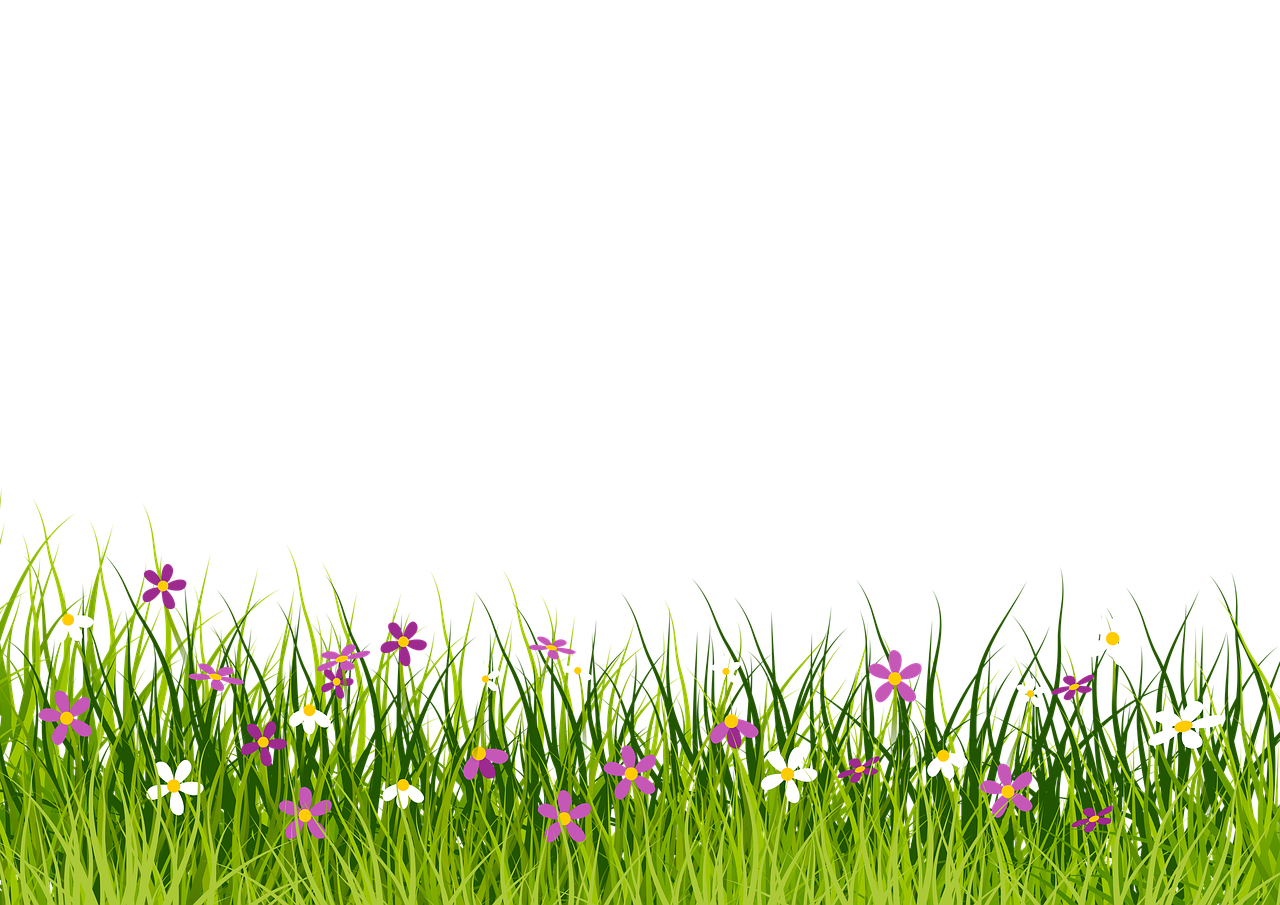 a field of green grass with purple and white flowers, conceptual art, on a flat color black background, isolated background, without text, lineless
