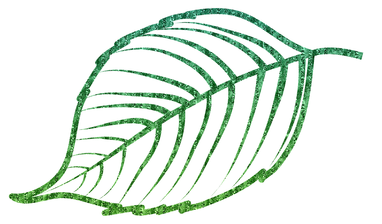 a close up of a green leaf on a black background, a digital rendering, inspired by Masamitsu Ōta, pixabay, generative art, glitter, simple path traced, linear illustration, glitter gif