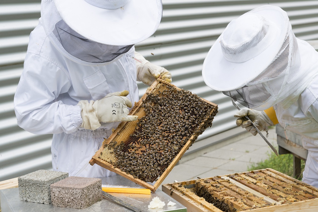 a couple of people that are standing in front of a beehive, a photo, by Erwin Bowien, shutterstock, tending on arstation, white, instrument, flash photo