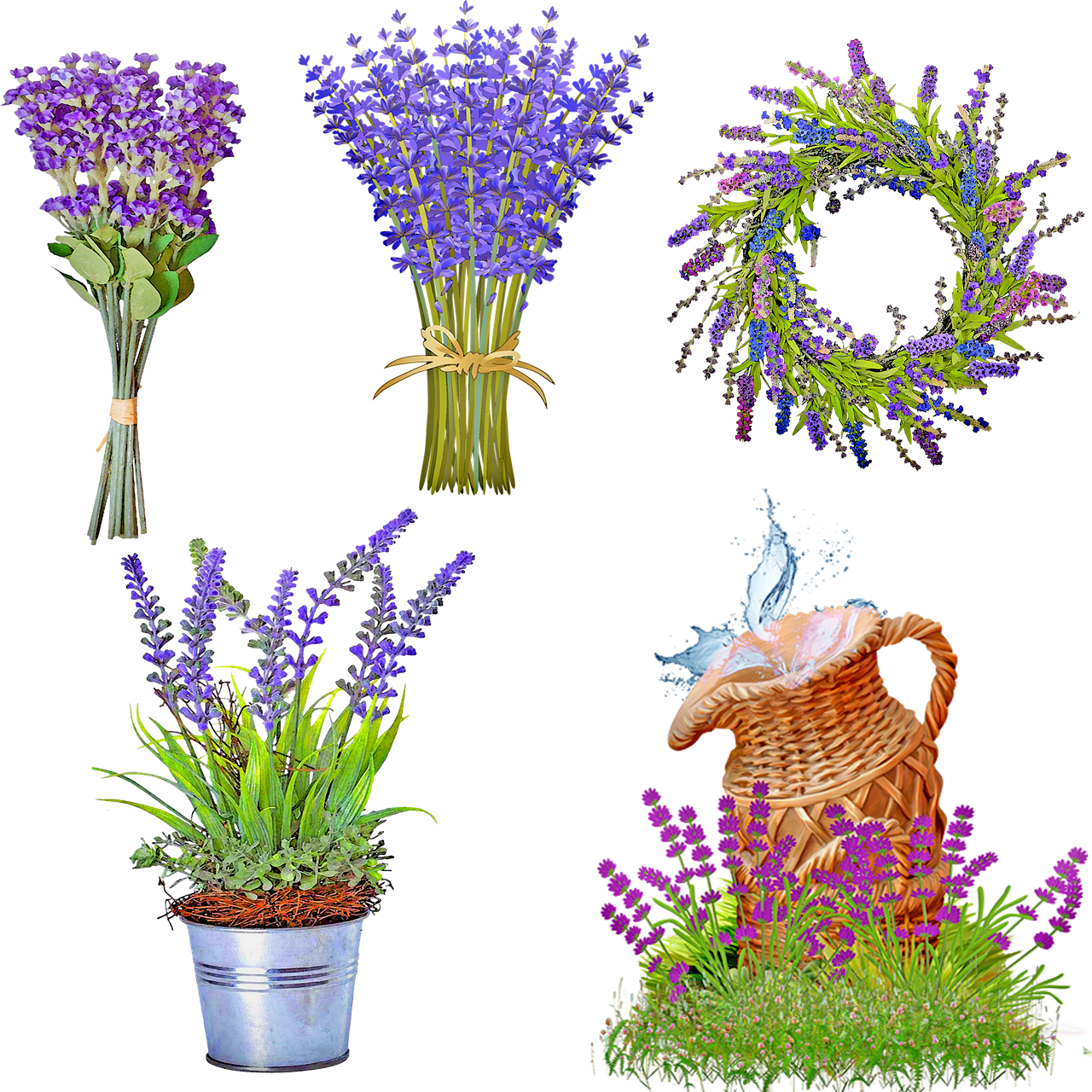 a bunch of flowers that are next to each other, a digital rendering, digital art, lavender plants, watering can, on black background, set of high quality hd sprites