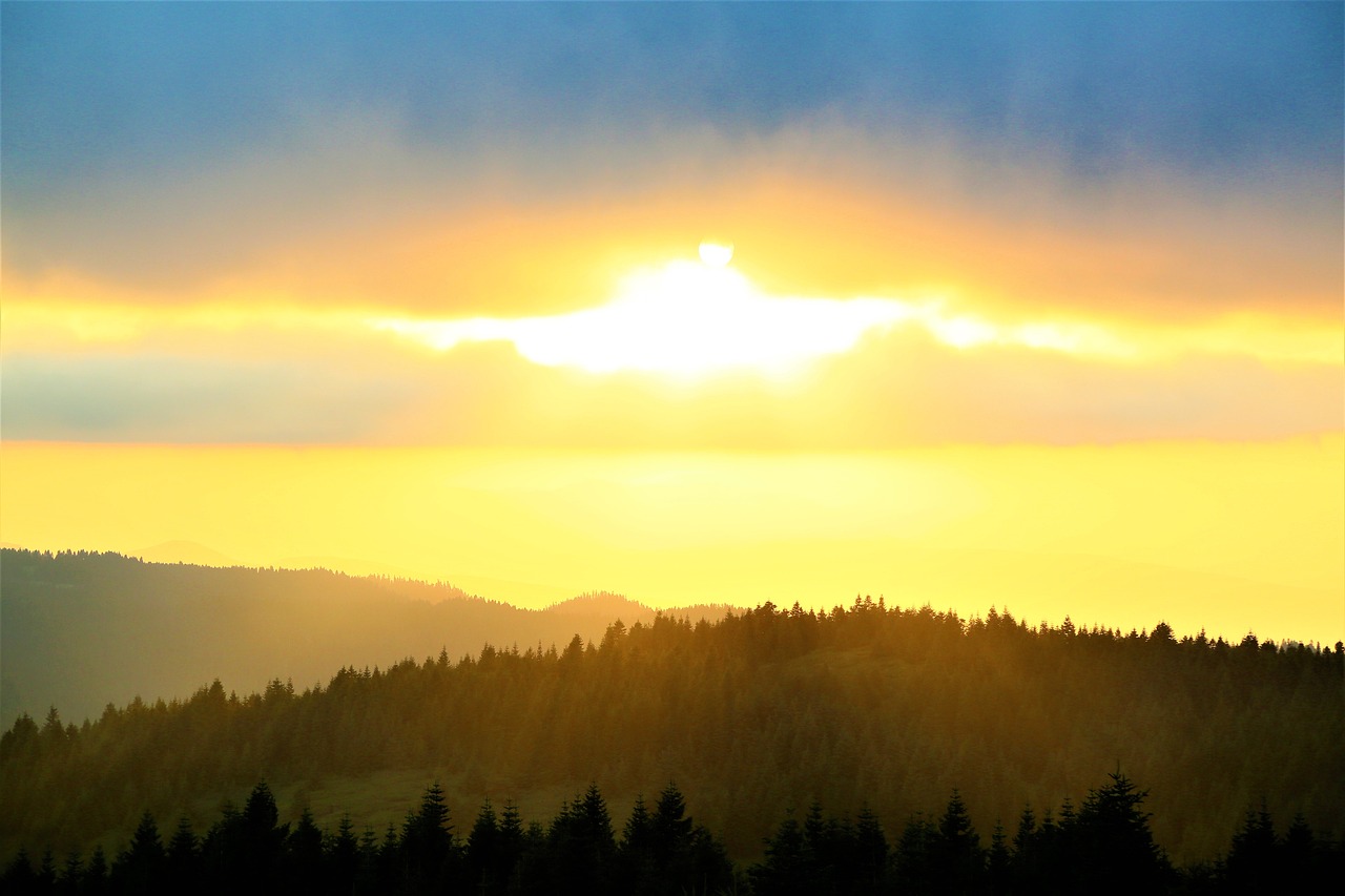 a horse that is standing in the grass, precisionism, sun rises between two mountains, forest fires in the distance, mechabot, with a bright yellow aureola