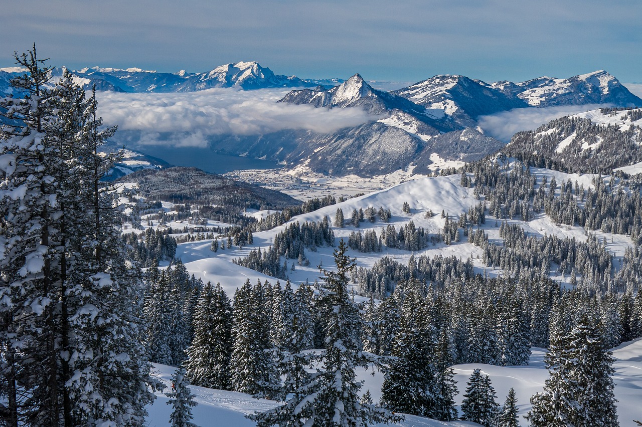 a man riding skis down a snow covered slope, a photo, by Cedric Peyravernay, flickr, renaissance, lush forest in valley below, big sky, wide panoramic shot, covered in clouds