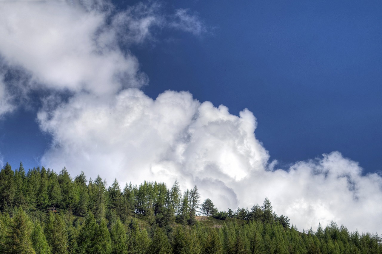 a herd of cattle grazing on top of a lush green hillside, by Cedric Peyravernay, flickr, figuration libre, towering cumulonimbus clouds, tall pine trees, cloud in the shape of a dragon, forest. white trees