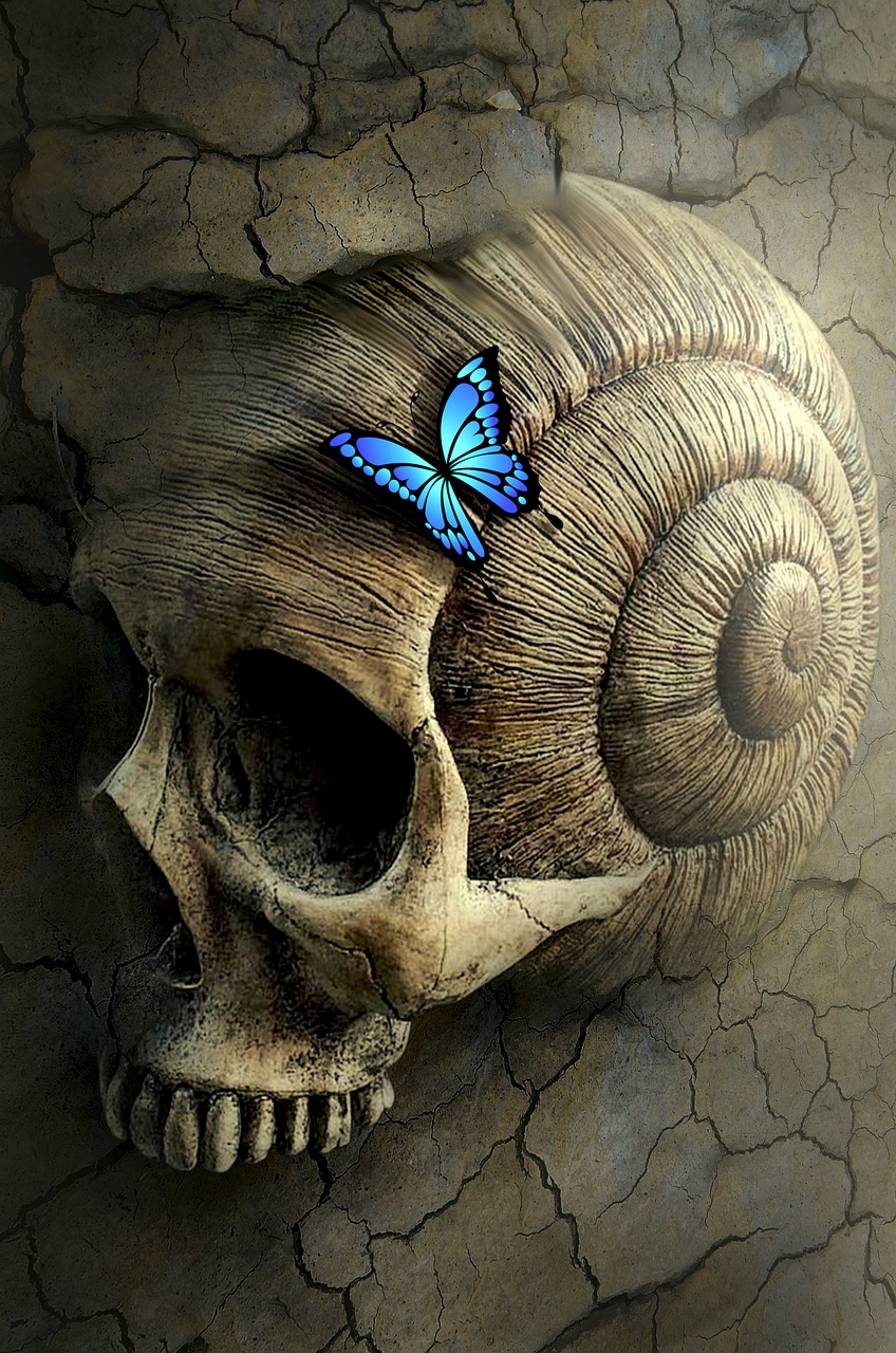a skull with a blue butterfly sitting on top of it, digital art, by Juliusz Kossak, pixabay contest winner, snail, beautiful bone structure, beautiful avatar pictures, fossil