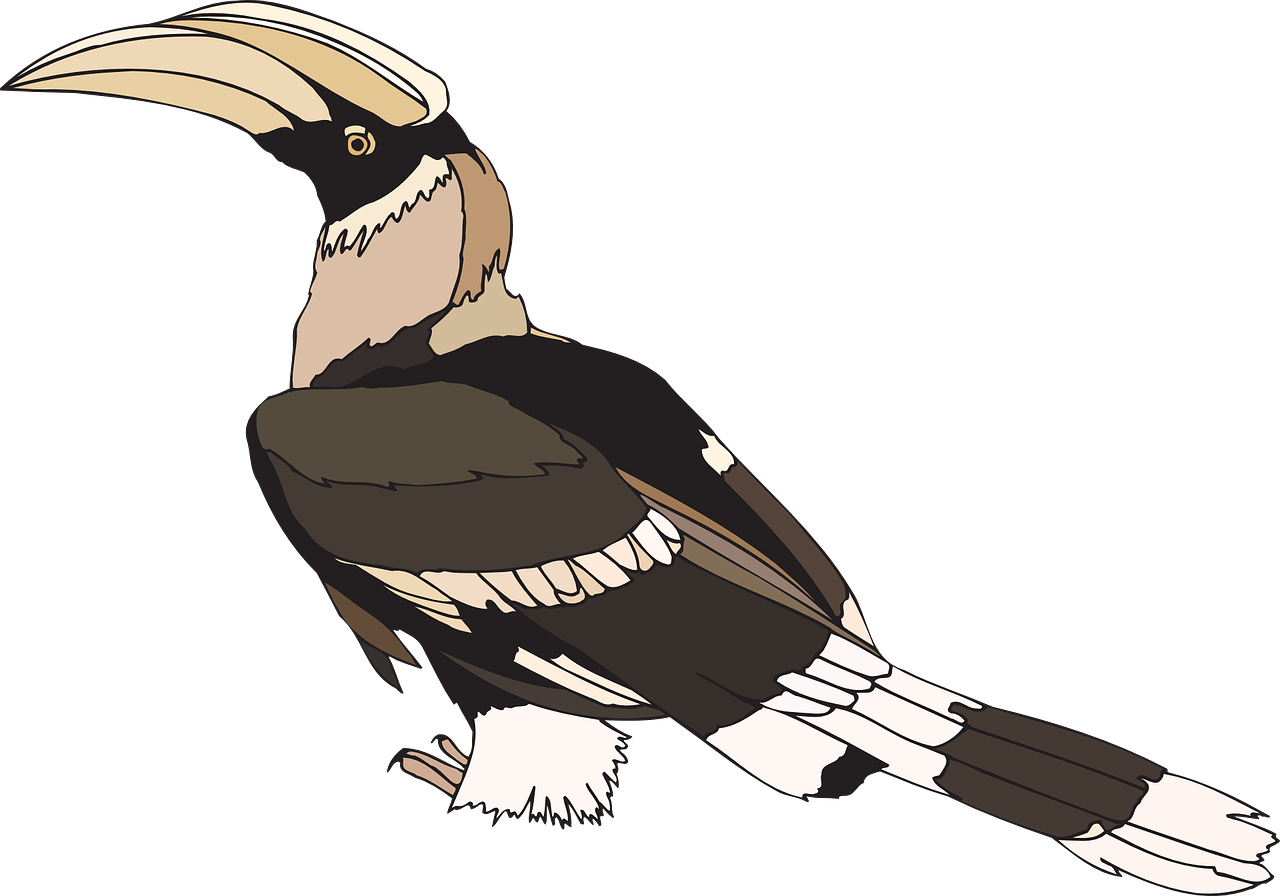 a drawing of a hornhorn hornhorn hornhorn hornhorn hornhorn hornhorn hornhorn hornhorn hornhorn hornhorn hornhorn hornhorn, an illustration of, inspired by John James Audubon, pixabay, mingei, feathers exotic morphing hoopoe, black backround. inkscape, pidgey, tamandua