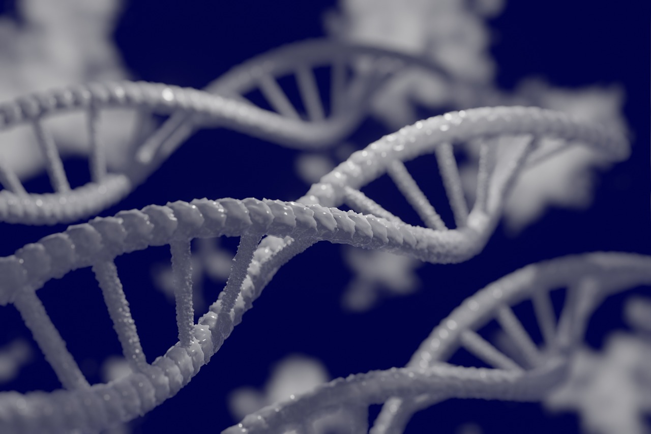 a black and white photo of a strand of dna, by Adam Marczyński, pexels, generative art, blue scales with white spots, harnesses, digital model, ((chains))