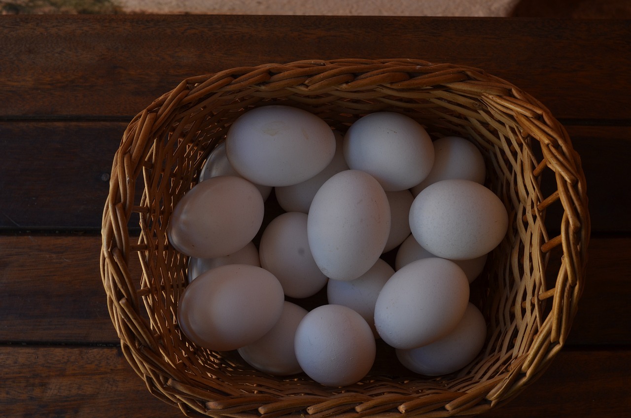 a basket filled with eggs sitting on top of a wooden table, a picture, by Linda Sutton, intense albino, traditional corsican, mid morning lighting, bottom shot