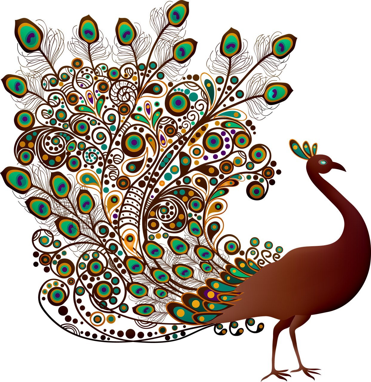 a peacock standing in front of a black background, an illustration of, psychedelic art, a beautiful artwork illustration, persian folkore illustration, computer generated, color vector