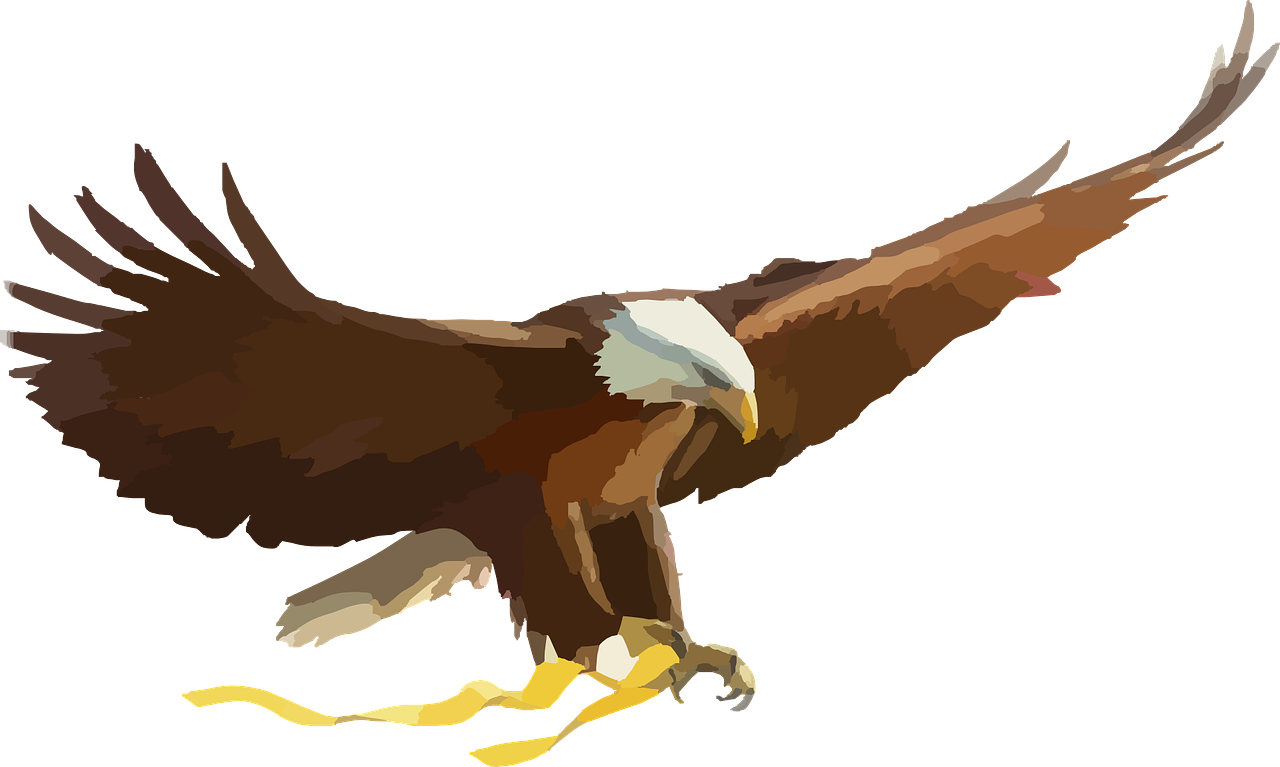 a close up of a bird of prey on a black background, a digital painting, drawn in microsoft paint, attack vector, ribbon, patriot