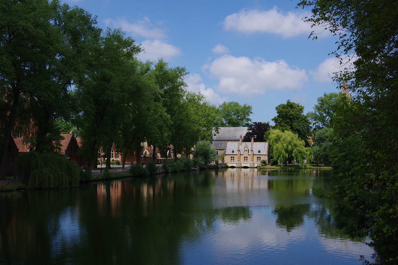 a large body of water surrounded by trees, a picture, shutterstock, barbizon school, english village, netherlands, stock photo