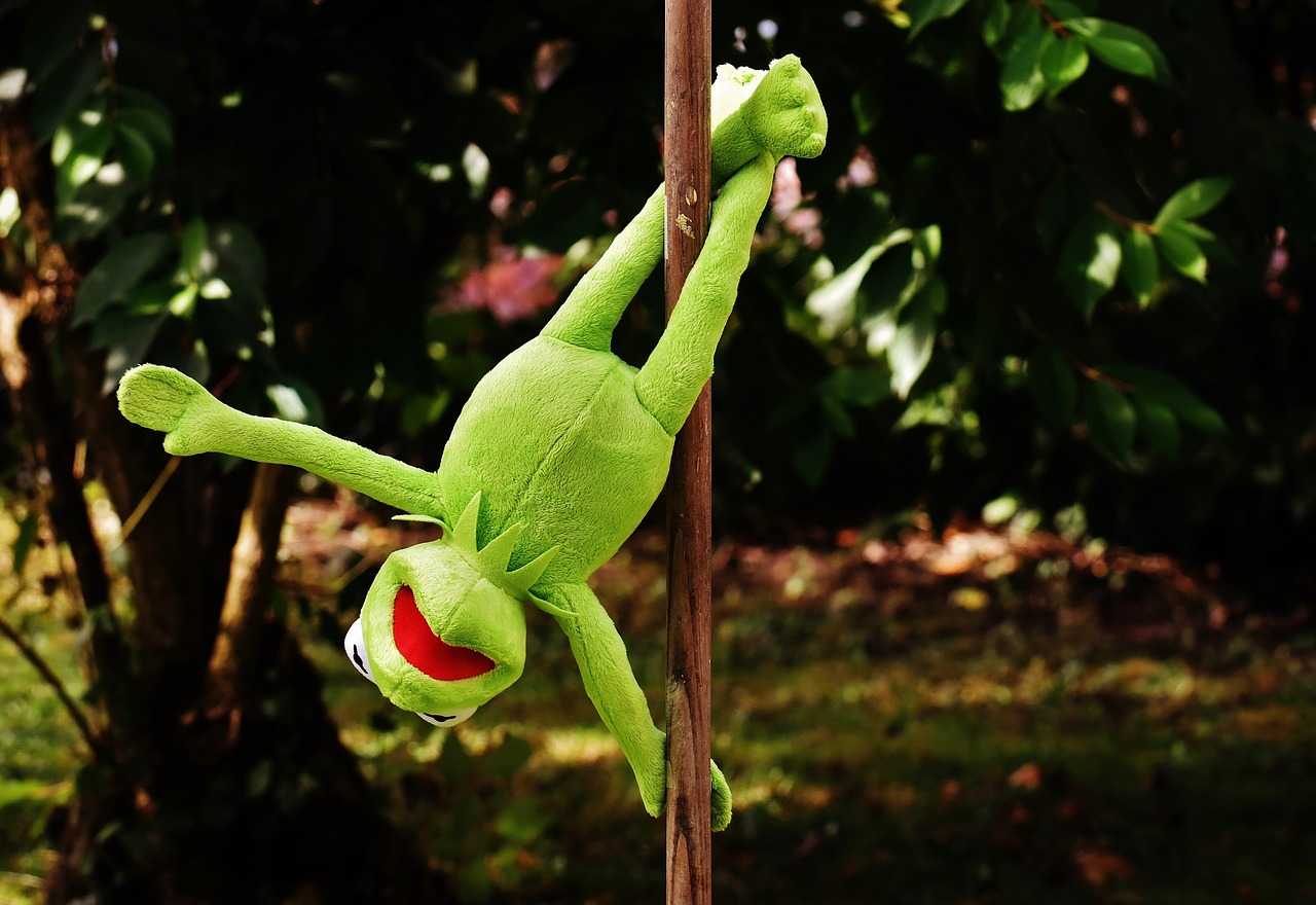 a green stuffed animal hanging from a pole, a picture, inspired by Pál Böhm, pexels, happening, kermit, in an action pose, hedge, istock