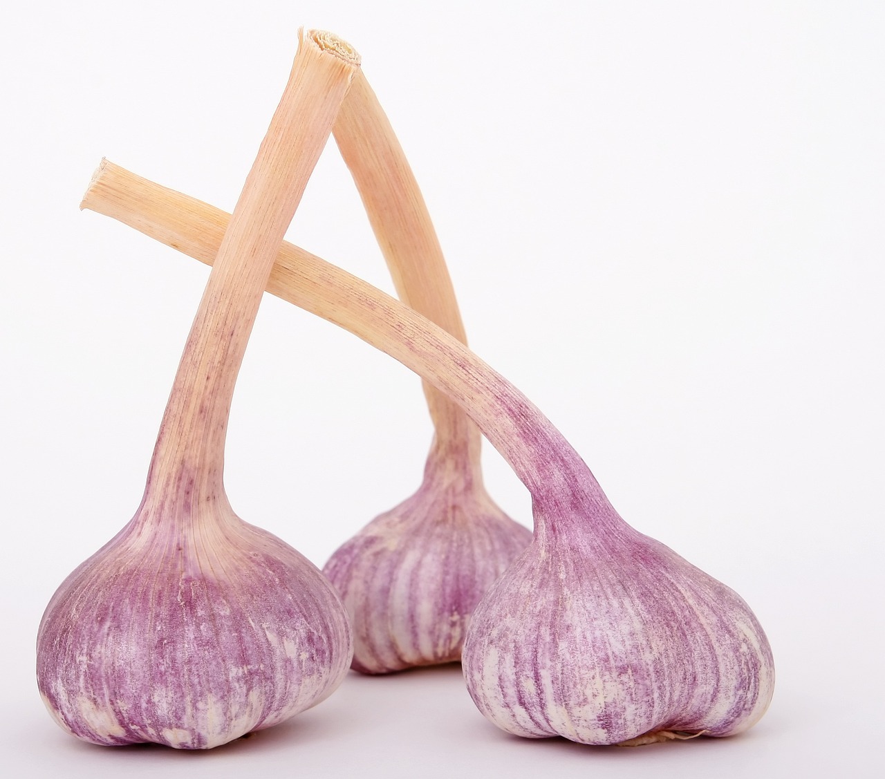 two bulbs of garlic on a white surface, a picture, pixabay, rasquache, stick, close up to a skinny, violet polsangi, tastes