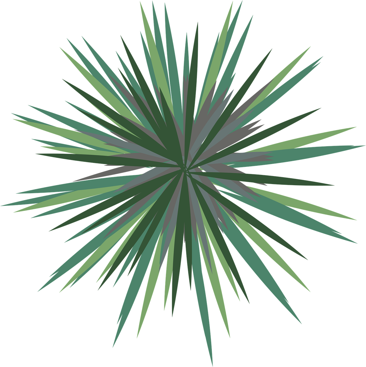 a green starburst on a black background, a digital rendering, inspired by Hasegawa Tōhaku, colorful tropical plants, simple stylized, viewed from above, celebration