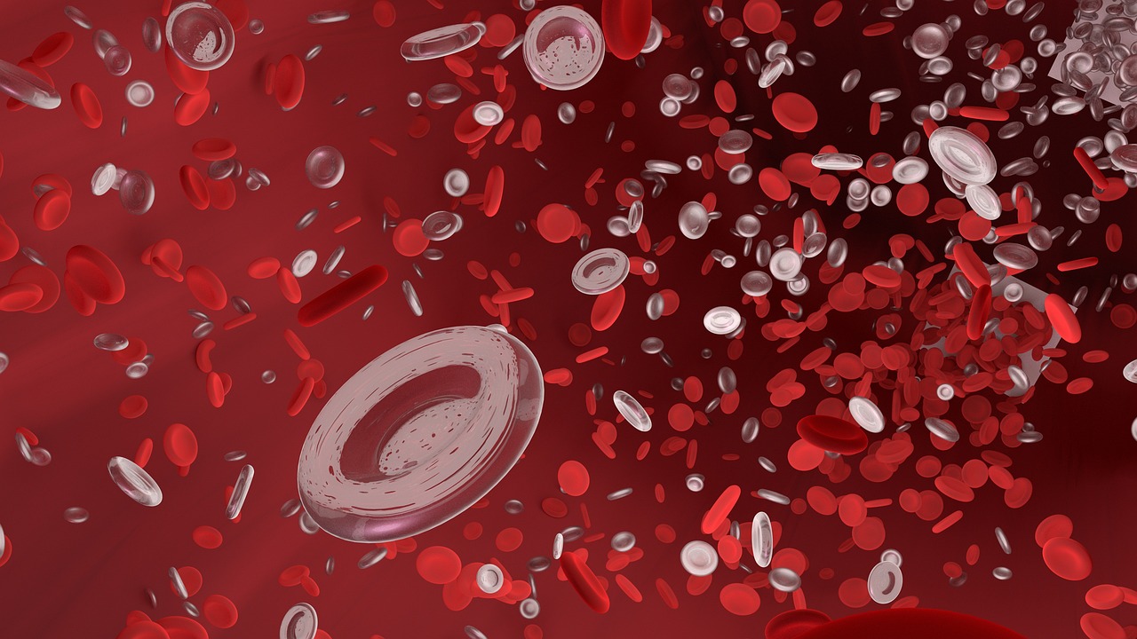 a red bucket filled with lots of red and white coins, a microscopic photo, conceptual art, blood cells, 3d abstract render overlayed, snapchat photo, blood letter