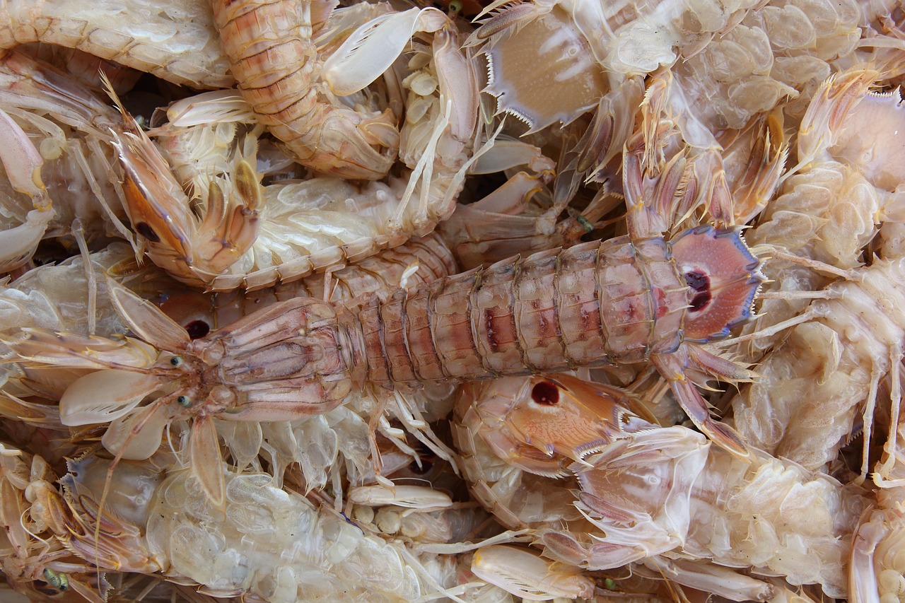 a pile of shrimp sitting on top of each other, a stock photo, hurufiyya, broad detail, in plastic, view from bottom to top, ultrafine detail ”